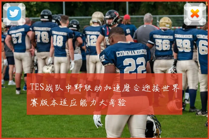 TES战队中野联动加速磨合迎接世界赛版本适应能力大考验