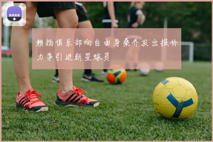 赖扬俱乐部向自由身桑乔发出报价力争引进新星球员